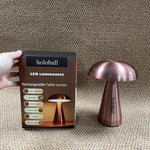 holoball  LED luminaires