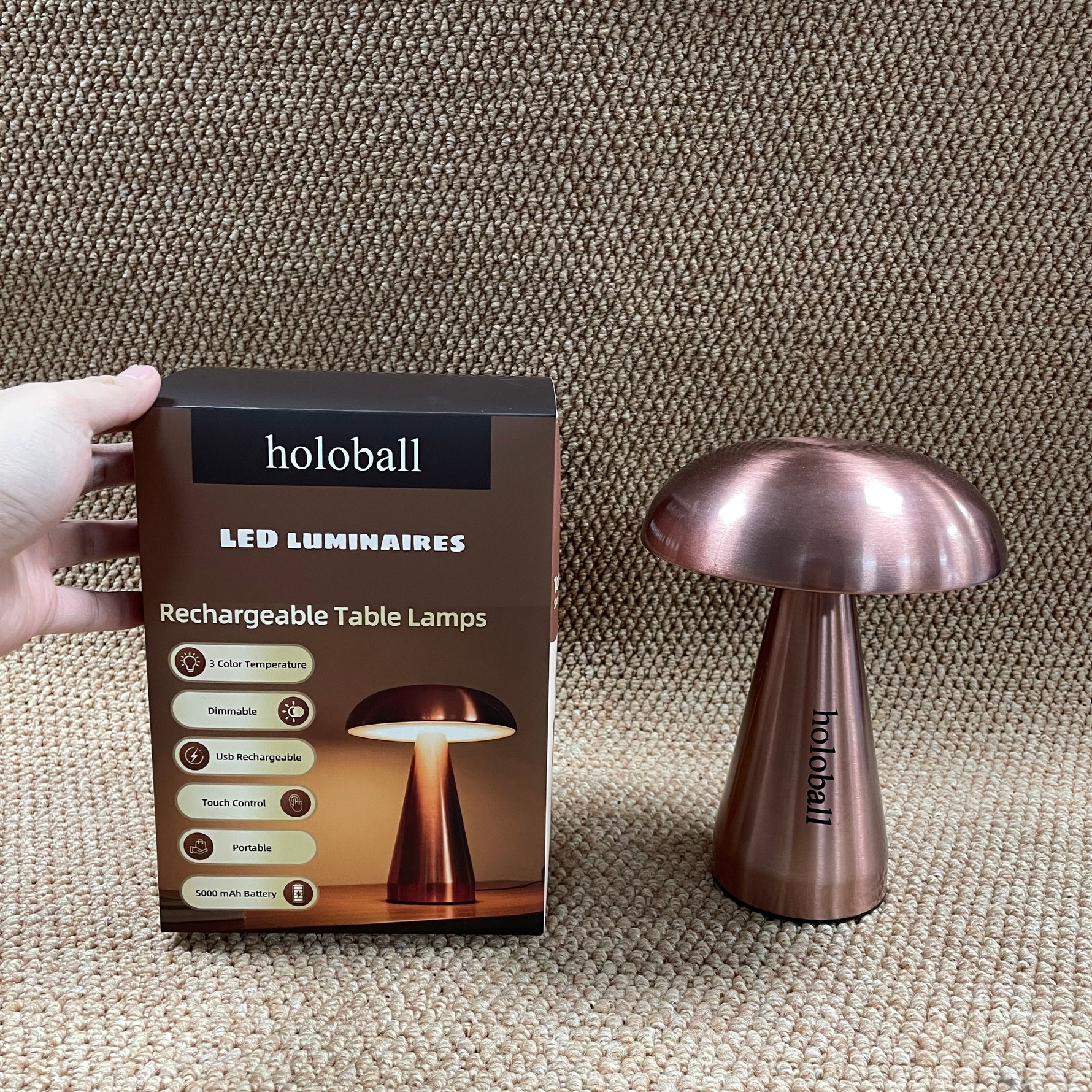 holoball  LED luminaires