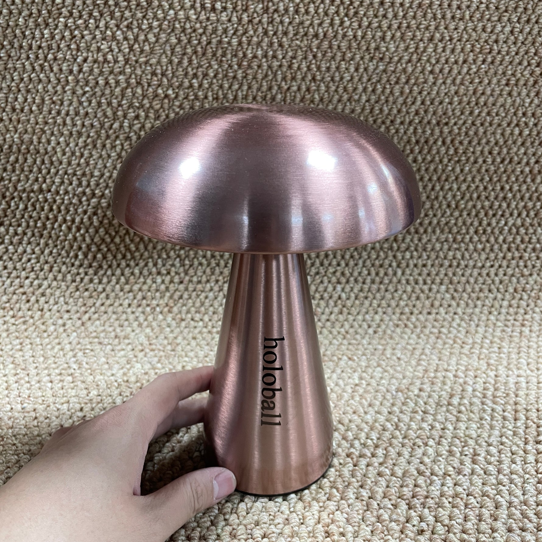 holoball  LED luminaires