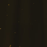 Custom 3D Hologram Fan Logo Video