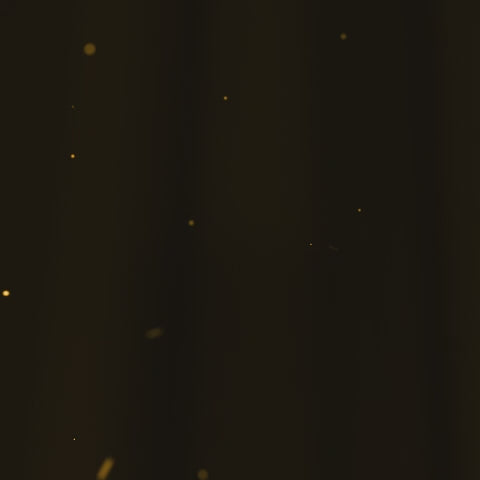 Custom 3D Hologram Fan Logo Video